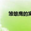 雏雄鹰的寓意和象征 雏鹰象征着什么 