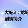 大蛇3：龙蛇之战剧情介绍 大蛇3：龙蛇之战剧情简介