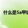什么是5a甲级写字楼 什么叫5a甲级写字楼