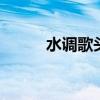 水调歌头赏析 水调歌头诗词赏析