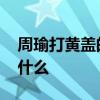 周瑜打黄盖的下一句 周瑜打黄盖的下一句是什么