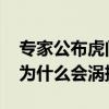 专家公布虎门大桥涡振原因是什么 虎门大桥为什么会涡振