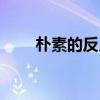 朴素的反义词  朴素的反义词有哪些