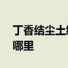 丁香结尘土纷嚣的意思 丁香结尘土纷嚣出自哪里