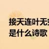 接天连叶无穷碧出自那首诗 接天连叶无穷碧是什么诗歌