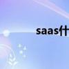 saas什么意思 saas指的是什么