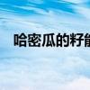 哈密瓜的籽能种吗 哈密瓜的籽能种出来吗