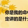 你是我的命中注定剧情简介 你是我的命中注定讲的是什么