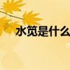 水笕是什么意思 水笕是什么意思和解释