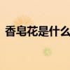 香皂花是什么材质做的 香皂花是啥材质做的