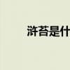浒苔是什么东西 浒苔是怎么形成的
