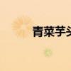 青菜芋头汤的做法 芋头汤怎么做
