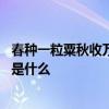 春种一粒粟秋收万颗子意思 春种一粒粟，秋收万颗子的意思是什么