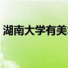 湖南大学有美术专业吗 湖南美术大学有哪些 