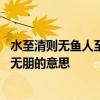 水至清则无鱼人至清则无朋什么意思 水至清则无鱼人至清则无朋的意思