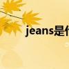 jeans是什么牌子 jeans是什么牌子