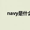 navy是什么颜色的 navybule什么颜色