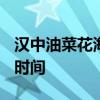 汉中油菜花海在哪里 2019汉中看油菜花最佳时间