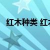 红木种类 红木种类有哪些种类 红木的种类