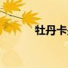 牡丹卡是什么卡  什么是牡丹卡