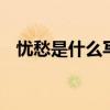 忧愁是什么写几句话 忧愁是什么扩写句子