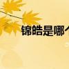 锦皓是哪个的品牌 锦皓是什么的品牌