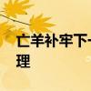 亡羊补牢下一句是什么 亡羊补牢的寓意和道理