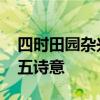 四时田园杂兴其十五古诗 四时田园杂兴其十五诗意