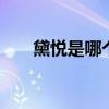 黛悦是哪个的品牌 黛悦是什么的品牌