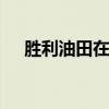 胜利油田在哪个省 胜利油田在哪个省份
