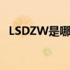 LSDZW是哪个的品牌 LSDZW是哪的品牌