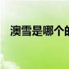 澳雪是哪个的品牌 澳雪是属于哪个的品牌