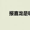 报喜龙是哪个的品牌 报喜龙品牌简介