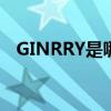GINRRY是哪个的品牌 ginrry是什么牌子