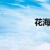 花海歌词 花海歌词是什么