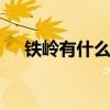 铁岭有什么好吃的 铁岭特色美食有哪些