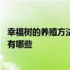 幸福树的养殖方法和注意事项 幸福树的养殖方法和注意事项有哪些