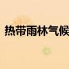 热带雨林气候特点 热带雨林气候有什么特点