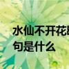 水仙不开花歇后语 水仙不开花的歇后语下一句是什么