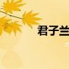 君子兰的作用 君子兰有什么用