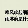 寒风吹起细雨淋漓是什么歌 抖音寒风吹起细雨淋漓是什么歌 