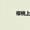 樱桃上火吗 什么水果吃了上火