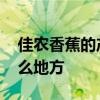 佳农香蕉的产地是哪里 佳农香蕉的产地在什么地方 