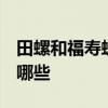 田螺和福寿螺的区别  田螺和福寿螺的区别有哪些