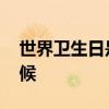 世界卫生日是几月几日 世界卫生日是什么时候