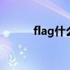 flag什么意思 flag的意思是什么