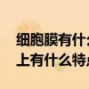 细胞膜有什么功能 细胞膜有什么功能在功能上有什么特点