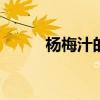 杨梅汁的做法 自制杨梅汁的方法