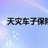 天灾车子保险公司赔吗 汽车天灾保险赔吗
