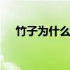 竹子为什么生长速度快 竹子生长的速度